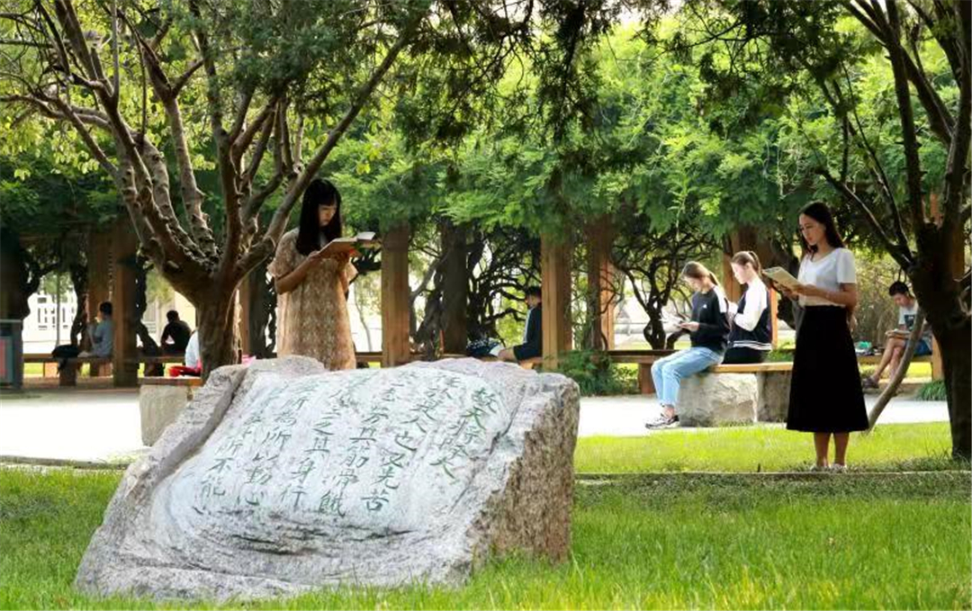 济宁医学院山东省排名多少,济宁学院山东排名