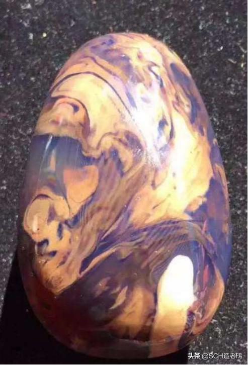 关于琥珀形成的资料,琥珀的种类及介绍