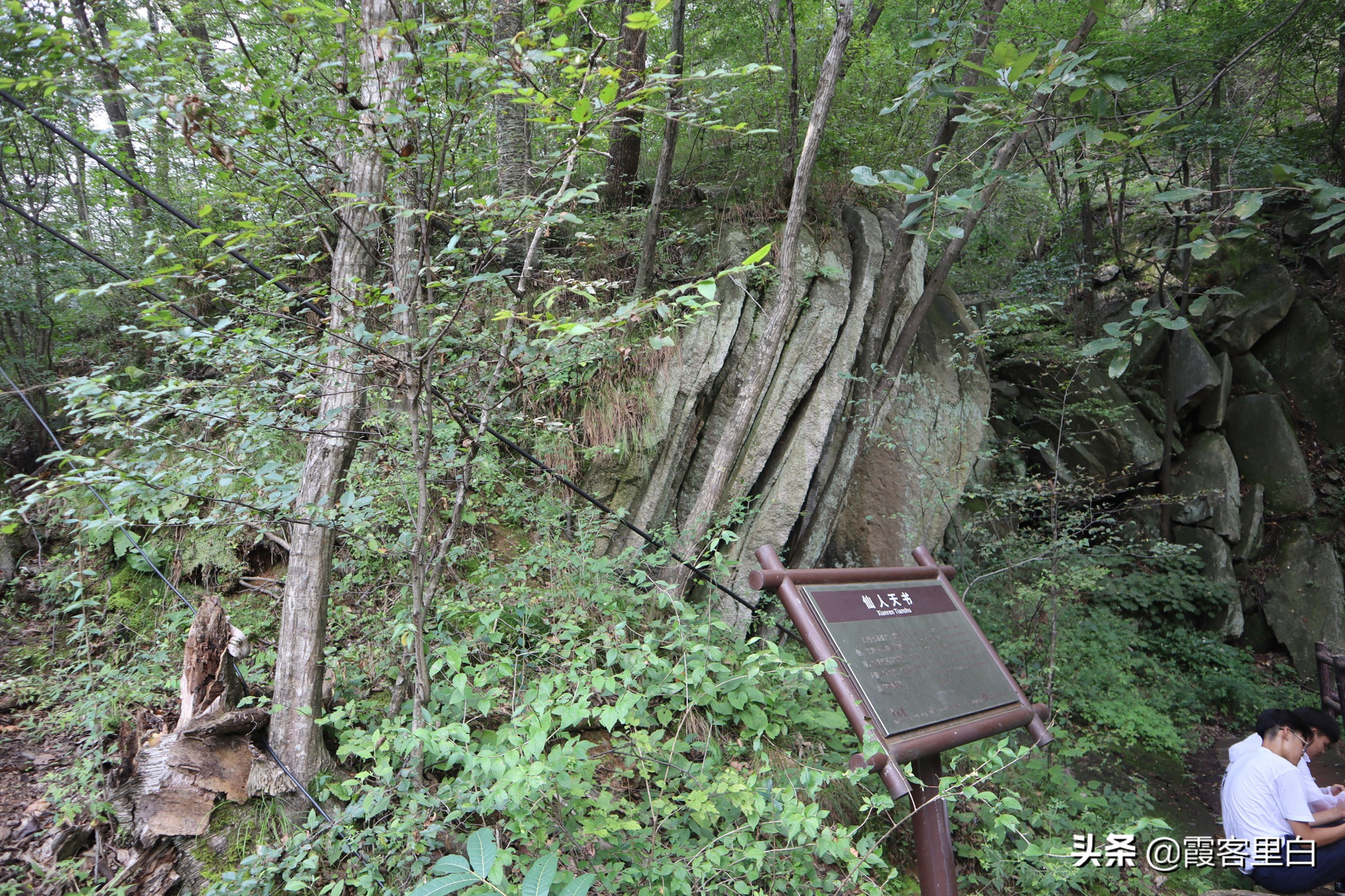 南召宝天曼旅游视频,南召宝天曼游览图