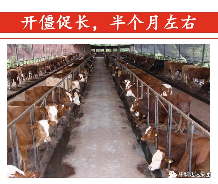 益力健枯草芽孢杆菌,益力健牛羊专用中成药