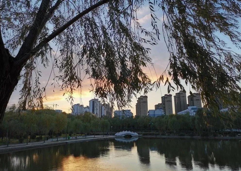 说一说周口师范学院,河南之最之周口师范学院