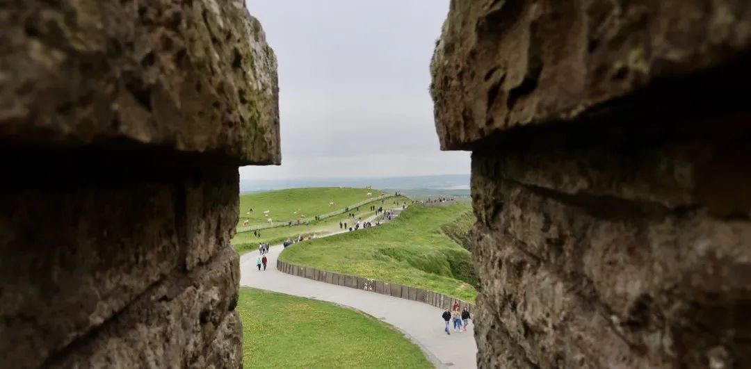飞鸟越过珊瑚海,飞鸟越过山林