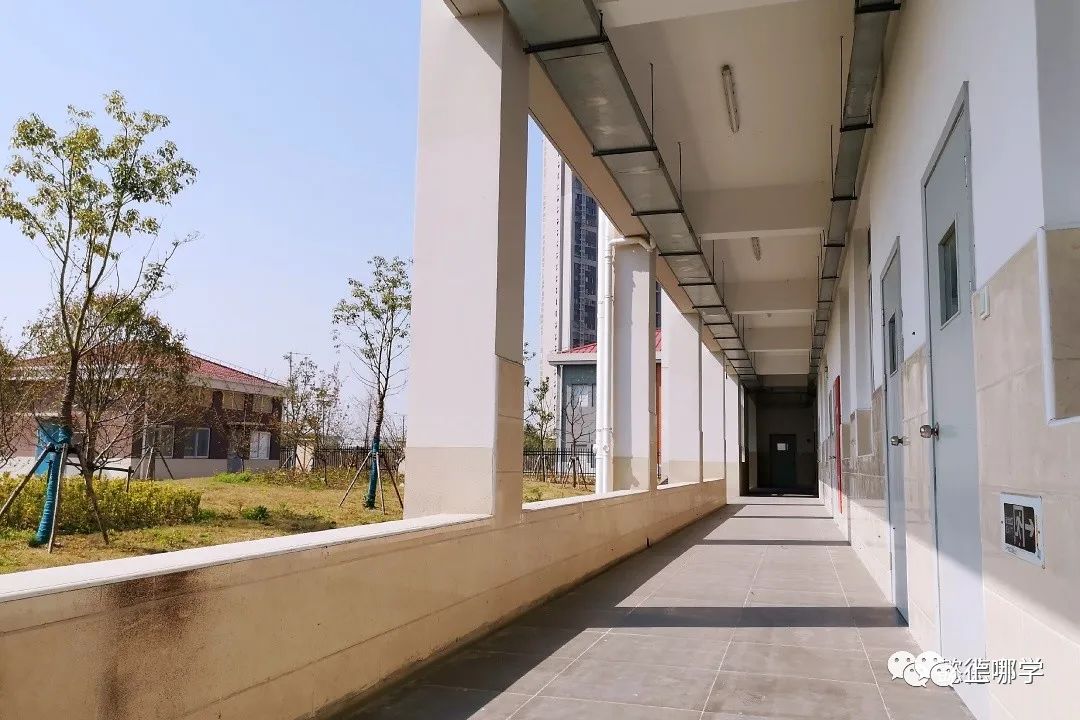 上师大附属浦东临港中学,上师大附中浦东校区怎么样