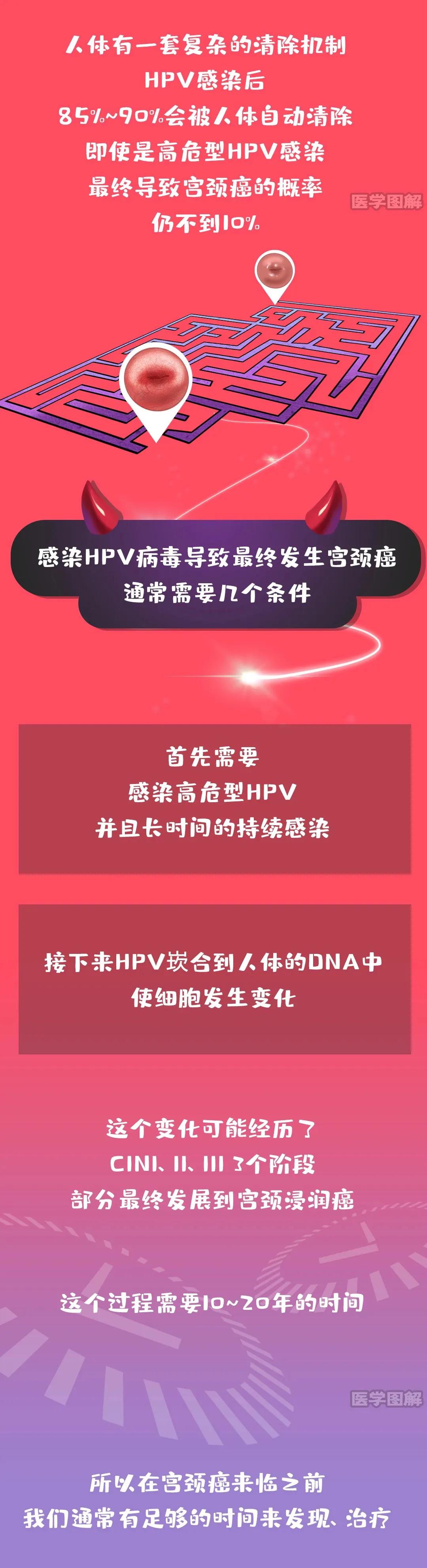感染hpv得癌几率多大,感染hpv患宫颈癌的几率大吗