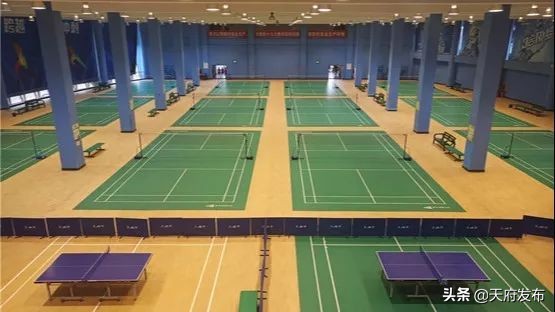 世警会准备什么,世警赛赛程2023