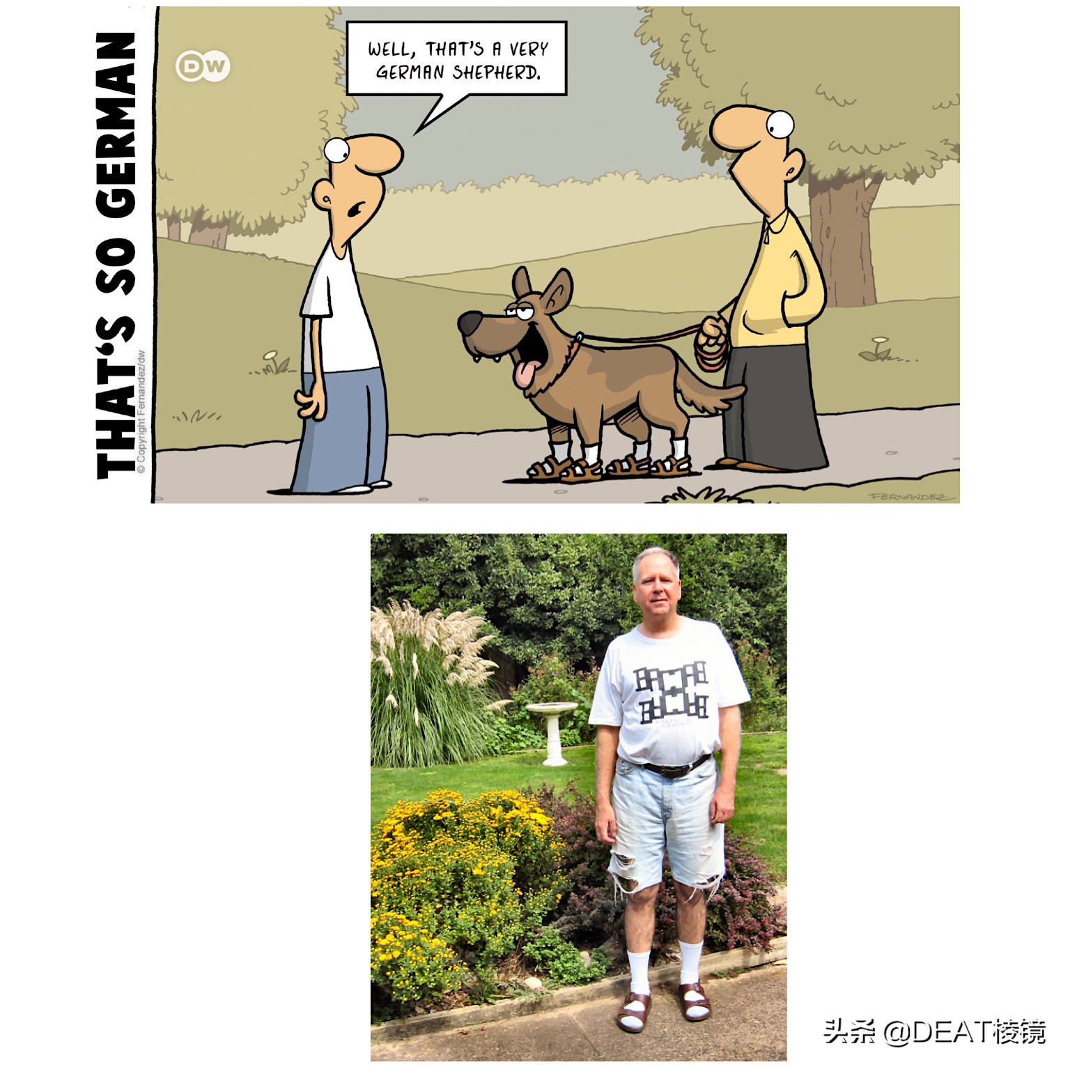 德国人的圣诞树,可能是啤酒瓶做的——漫画家笔下的德国人