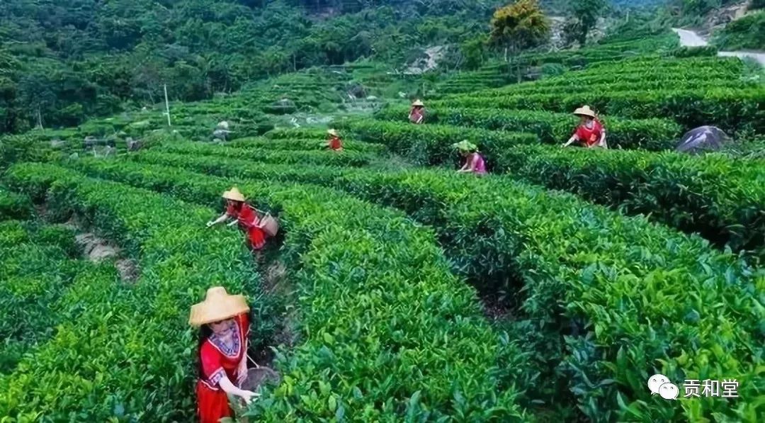 贡享和谐和济共生—贡和堂品牌文化及平台介绍