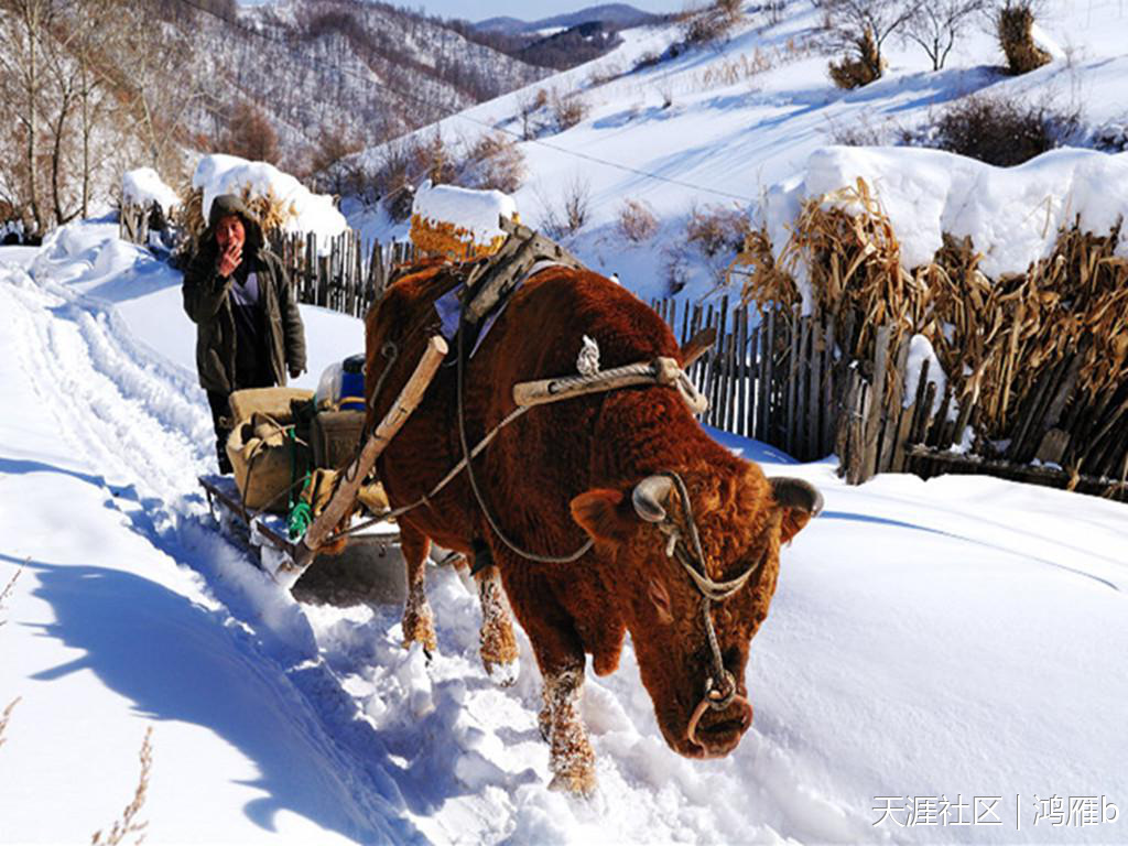 东北的“靰鞡(乌拉)”已经渐行渐远,留下的只剩记忆了