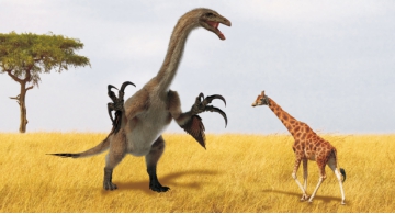 关于恐龙的儿童科普书籍,为什么孩子会喜欢看有关恐龙的书