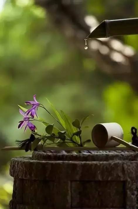 年年岁岁花不同，岁岁年年人无异