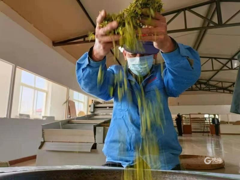 好山好水出好茶绿茶,好山好水才能出好的茶