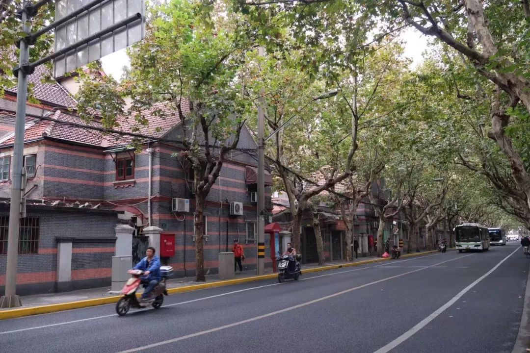 魔都最值得逛的马路,魔都网红马路视频