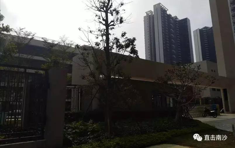 南沙区再添一所公立小学,广州南沙最近两年新开的小学