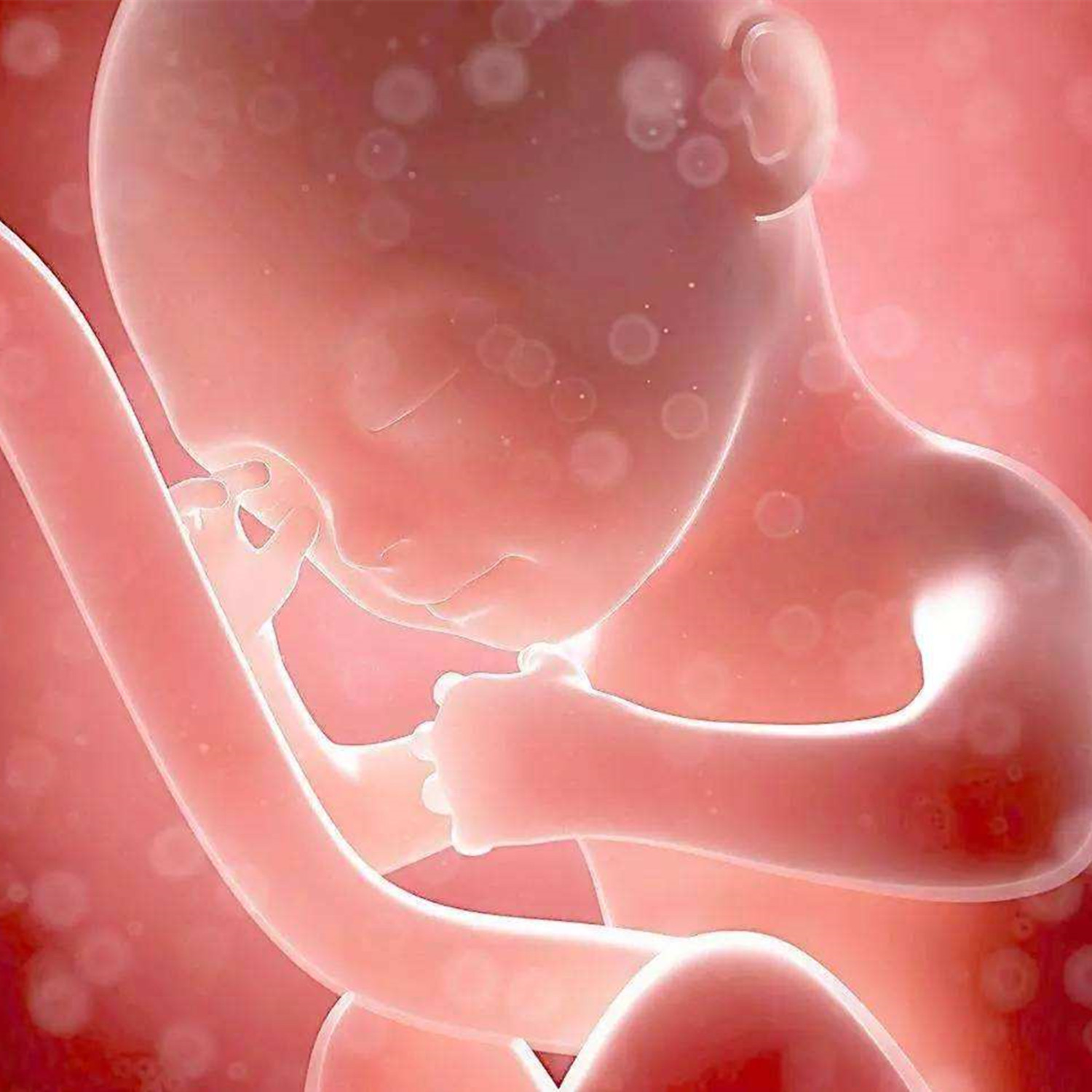 胎动怎么看孕妇如何正确辨识胎动,孕期在家正确数胎动的方法