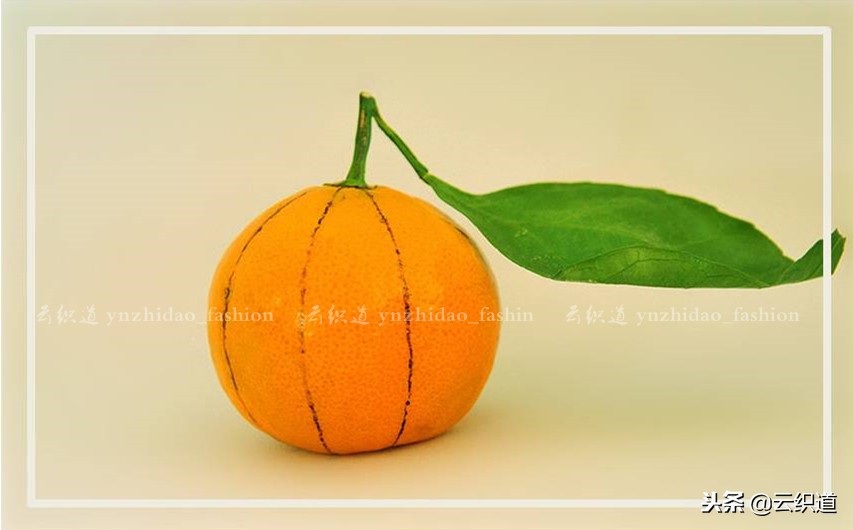 衣服裁剪制作女,服装立体裁剪稿子怎么做