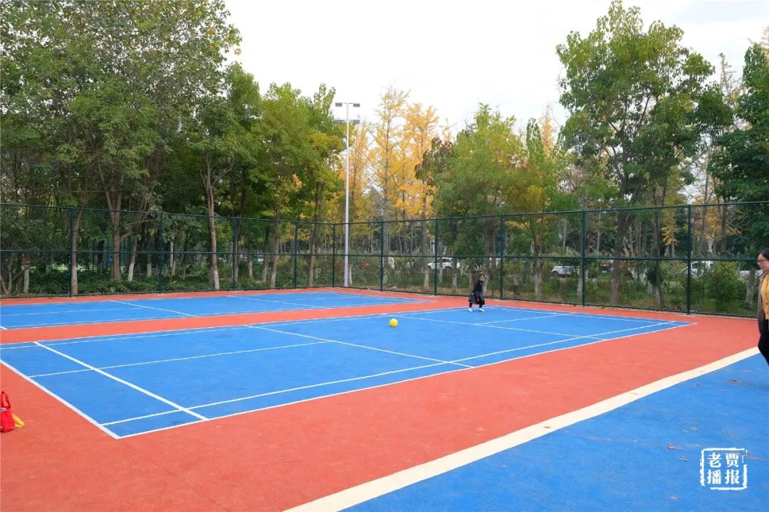 洛阳一大型网红公园免费开放,洛阳湿地公园网红打卡地