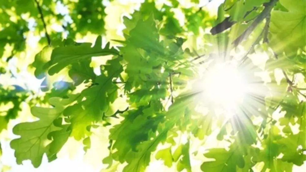 为什么精明的人怕吃亏,为什么越精明人越容易吃亏