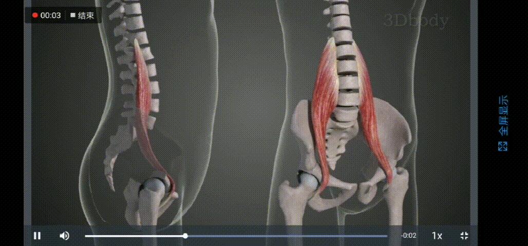 如何知道是真翘臀还是假翘臀,真翘臀和假翘臀是怎么判断的