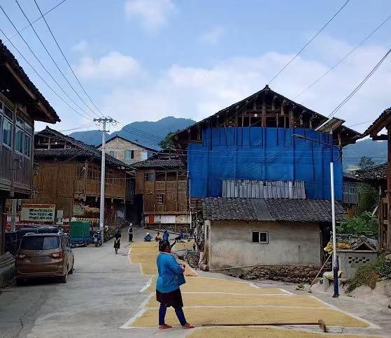 贵州网红“乞丐哥”的罪恶人生,网红乞丐哥拐卖多名少女