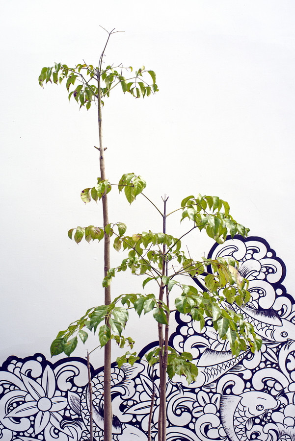 云南瑞丽攻略自由行,过年云南旅游攻略瑞丽