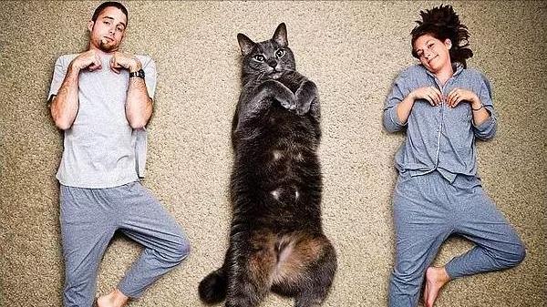 笑侃人生感悟,笑侃人间趣事