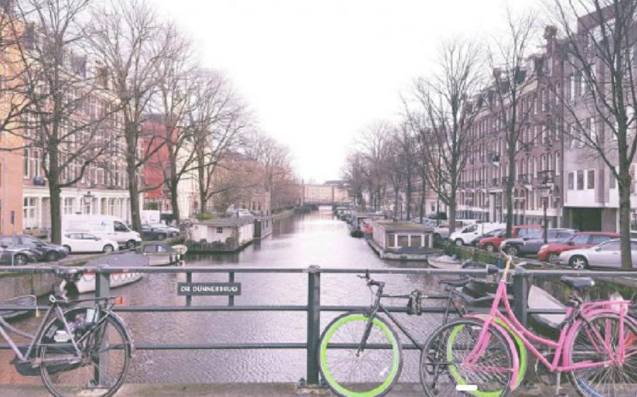 菜菜游天下之荷兰柔情似水入我心