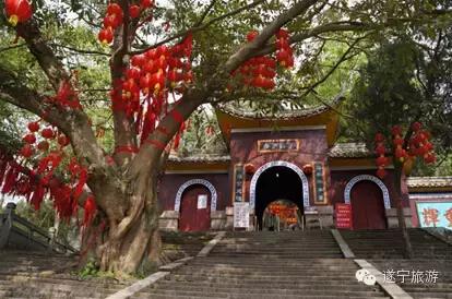 遂宁5天旅游攻略,遂宁旅游攻略自由行攻略