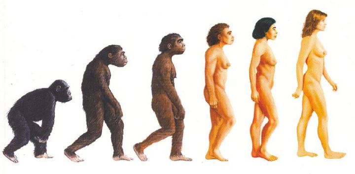 脱毛仪是不是智商税,网上两三百的脱毛仪是智商税吗