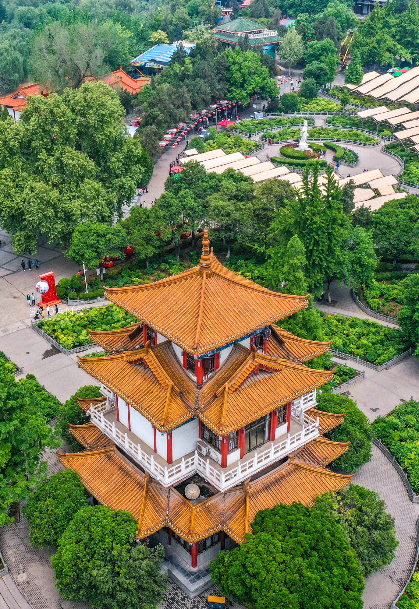 洛阳牡丹甲天下还有吗,洛阳牡丹甲天下的美景
