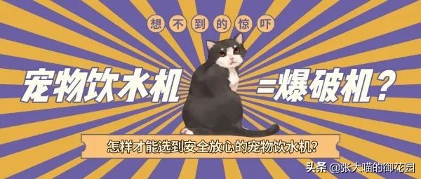 宠物饮水机漏电又爆炸？怎样才能选到安全放心的宠物饮水机？