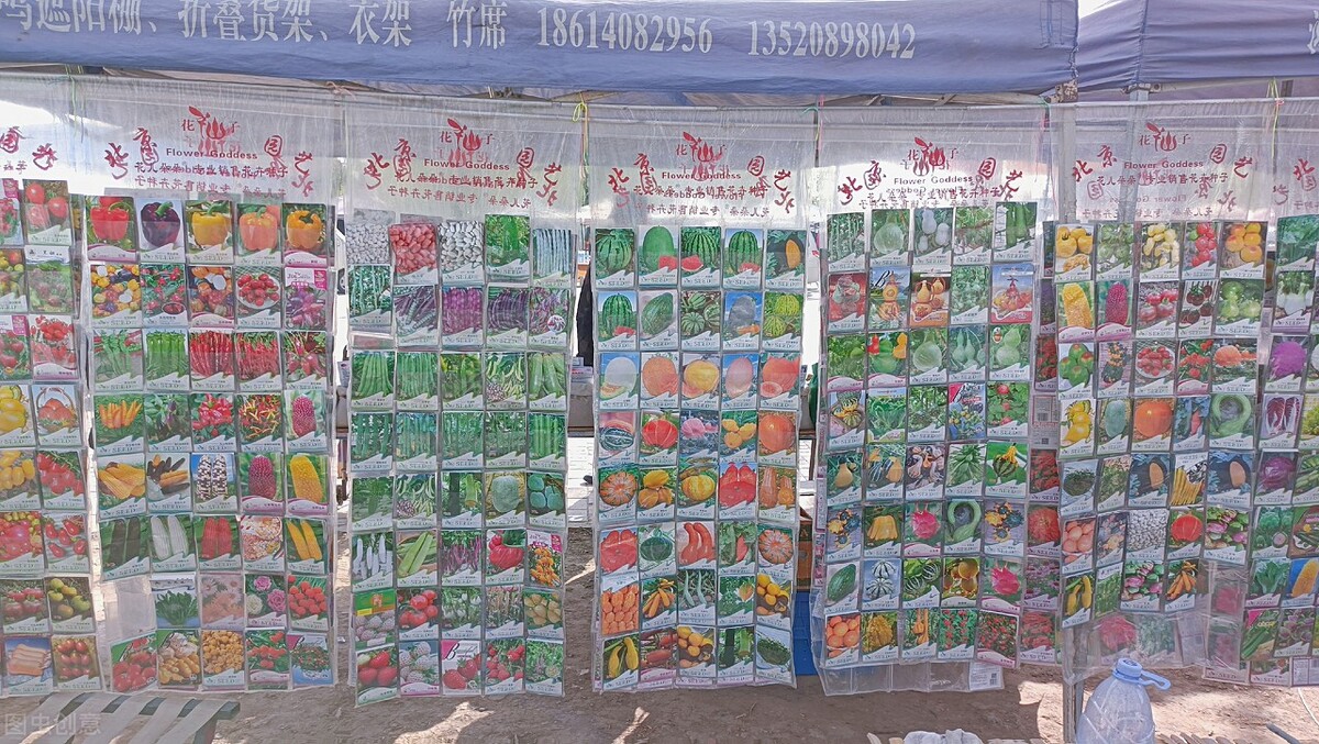 现在还会有粮食危机吗,现代还会有饥荒吗