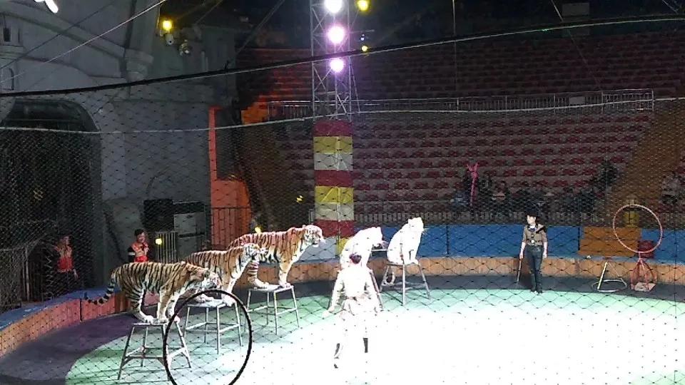 渝西旅游攻略一日游,渝西环线自驾游攻略