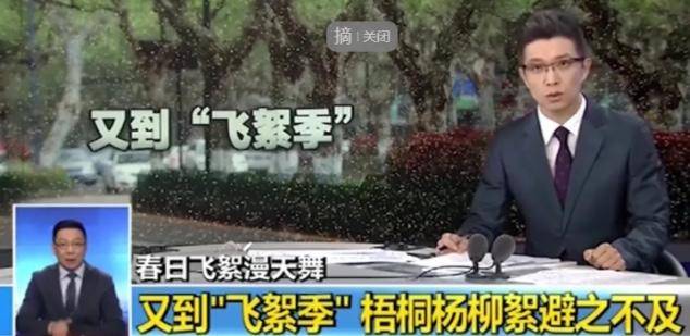 30分钟狂卖1个亿,三十分钟狂卖一亿视频