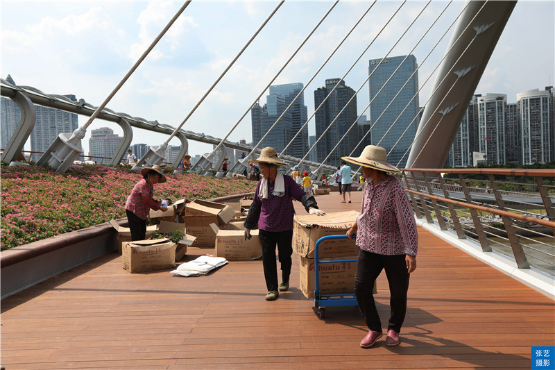 广州人行景观桥最新情况,广州海心沙人行天桥