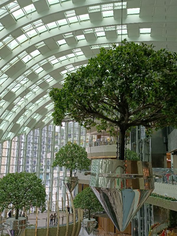 光环购物公园与新加坡樟宜机场,重庆观光购物公园