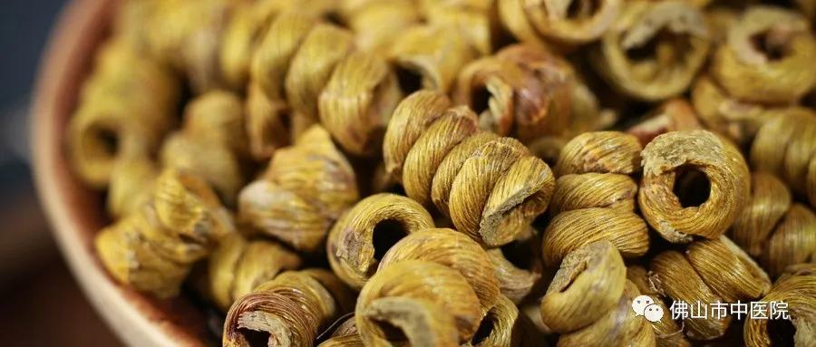 鐭虫枦鐩婅儍鐢熸触婊嬮槾娓呯儹,涓婂搧浠欒崏鐭虫枦鐨勫姛鏁堜笌浣滅敤