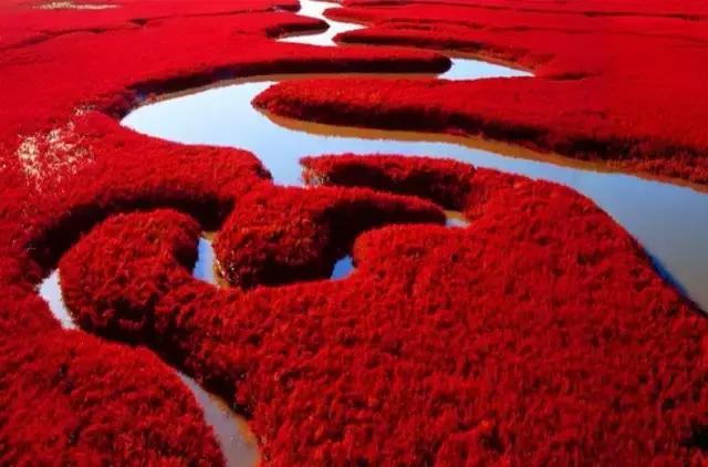 六月我们一起去旅行,九月带你去旅行