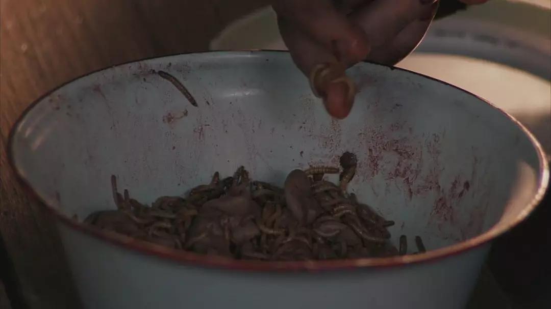 困境中求生的励志故事,走出绝境的励志故事