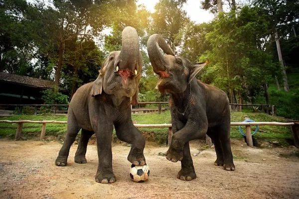 娓呰繄涓涙灄鎺㈤櫓鐩樼偣,娓呰繄鍧氭灉