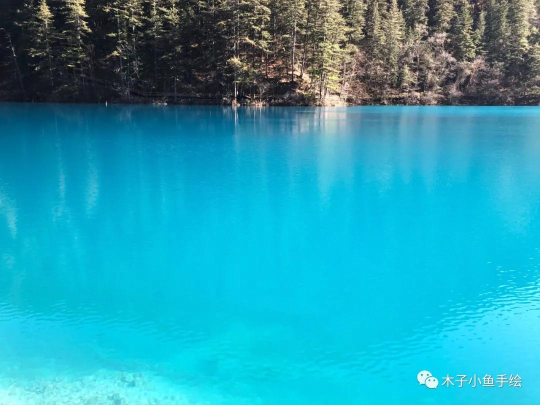 2021九寨沟官方视频,九寨沟跨年夜