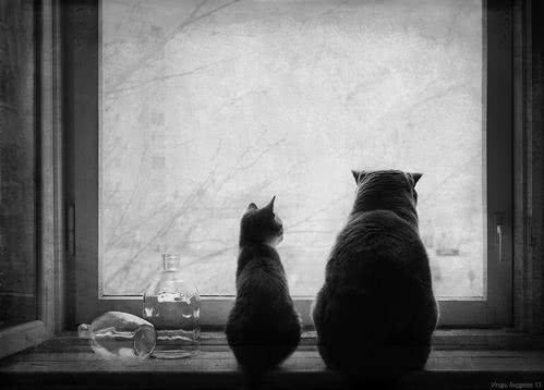 如何消除代沟英语,怎么消除代沟教育