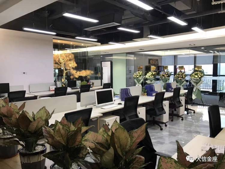 大信金座2座2001,大信金座1栋