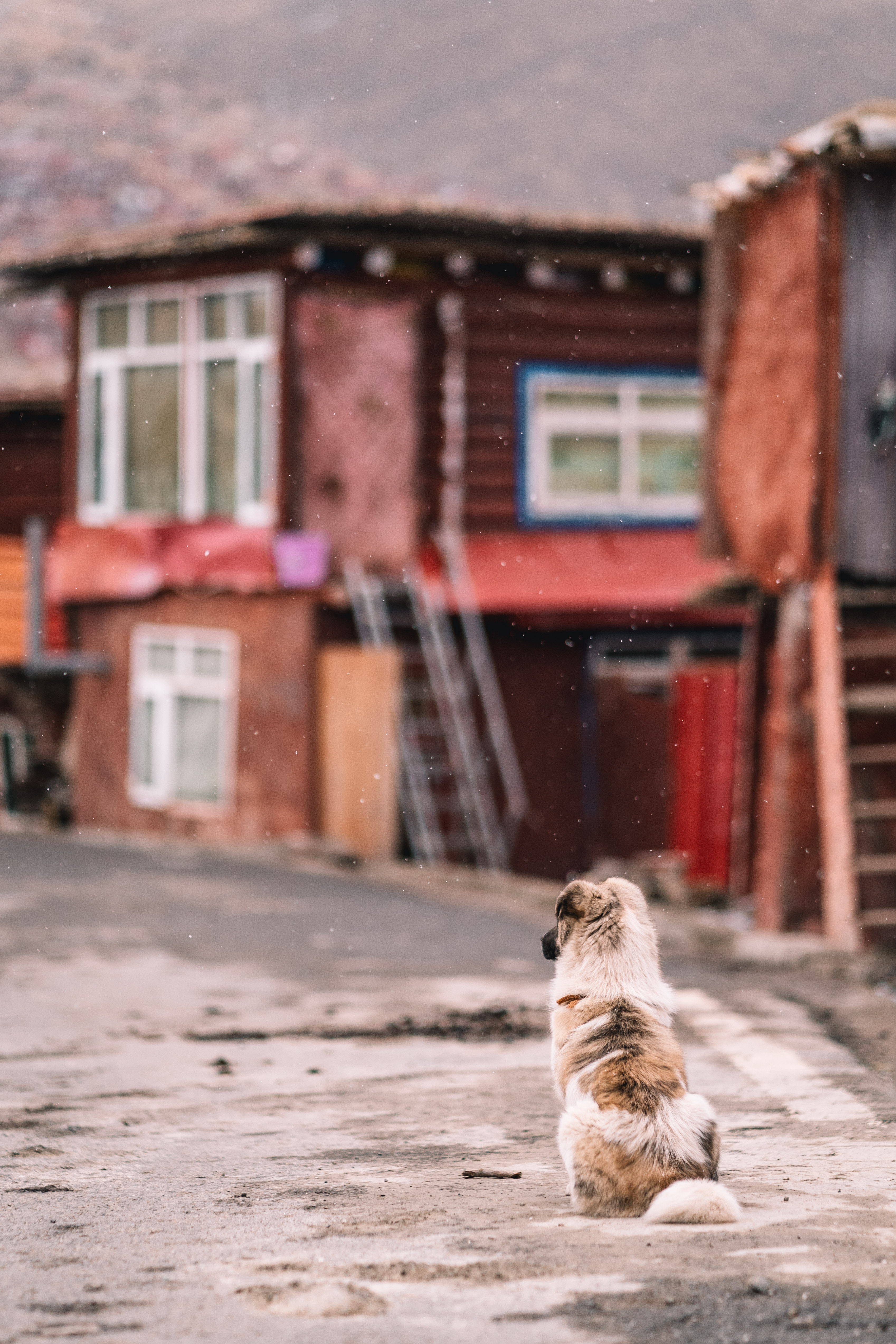 雪域佛国色达值不值得入手,雪域佛国色达旅行