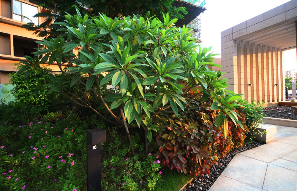 详细规划小区景观设计,会呼吸的小区