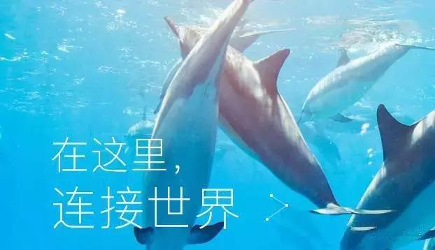 可以赚取收益的自媒体平台有哪些,十大收益最好的自媒体平台广告