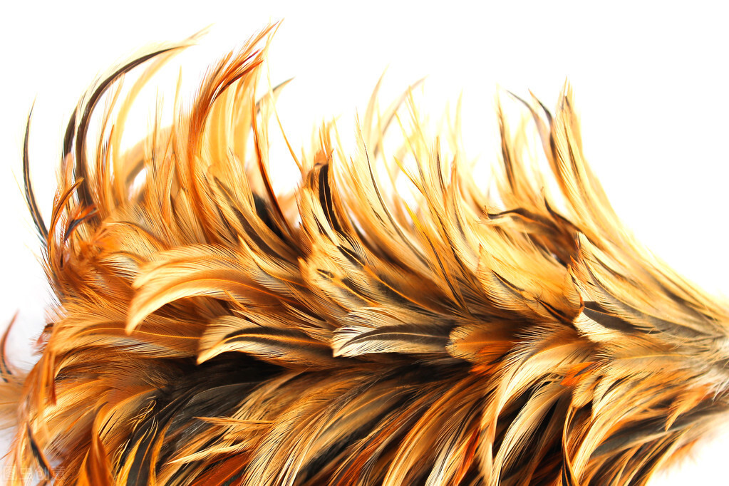 浙江义乌是怎么发展起来的,义乌是怎么富起来的