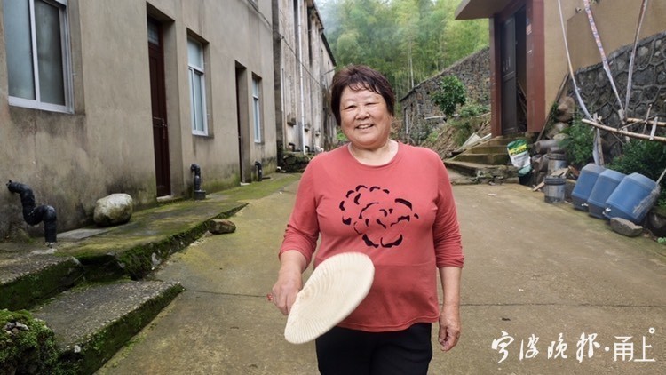 大蒲扇老式芭蕉扇手工扇子,手编老式扇子蒲扇