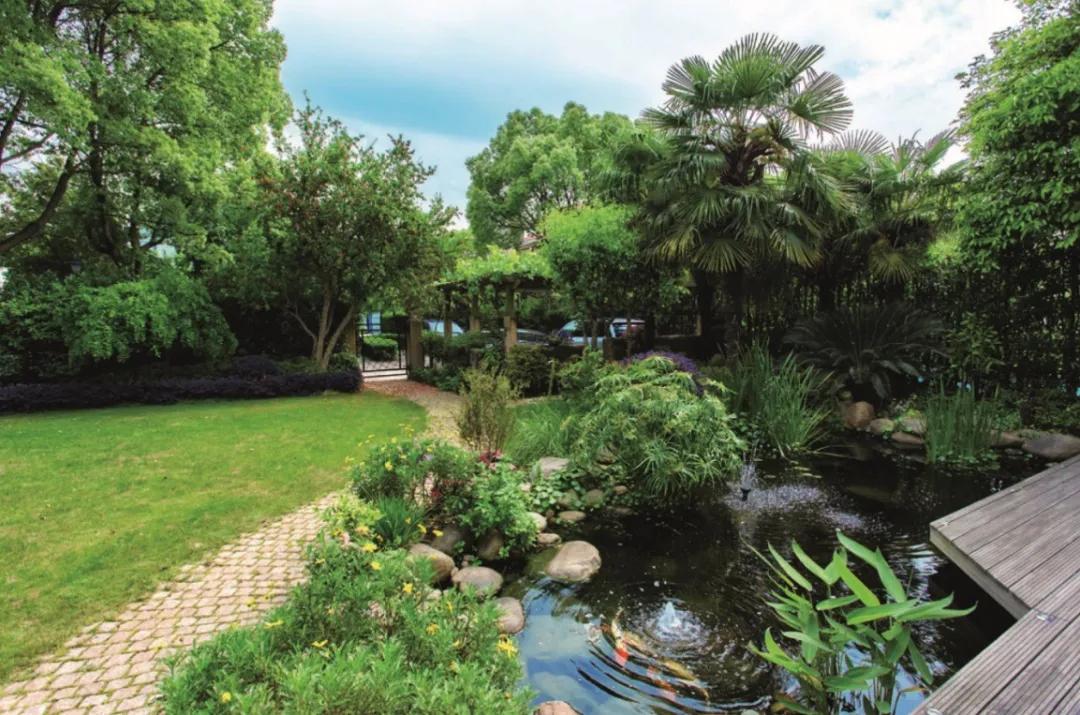 欧亚瑟生态水景,欧亚瑟造景鱼缸