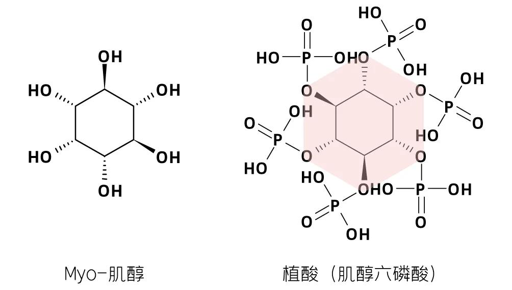 没有多囊能吃肌醇胆碱吗,不是多囊可以吃肌醇吗