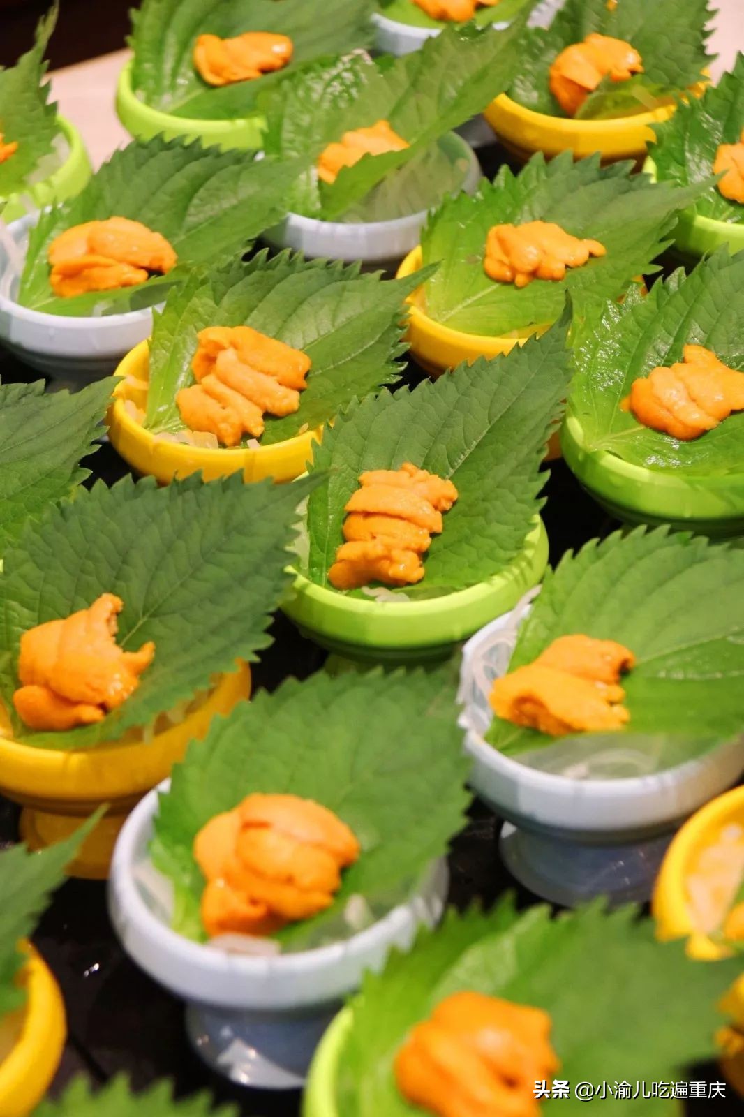 重庆来福士日料自助餐,深圳日料自助攻略